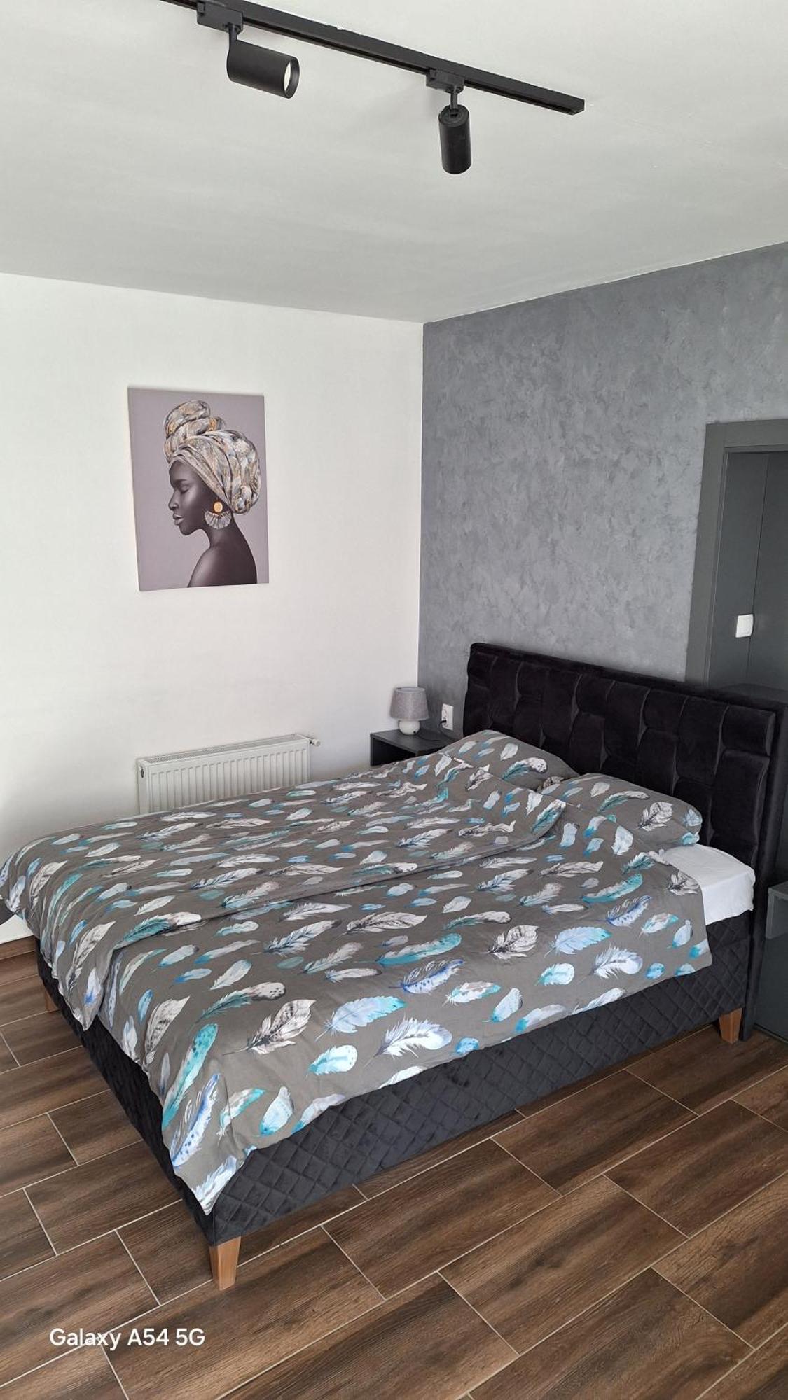 Stan Na Dan Dunja 2 Apartman Versec Kültér fotó