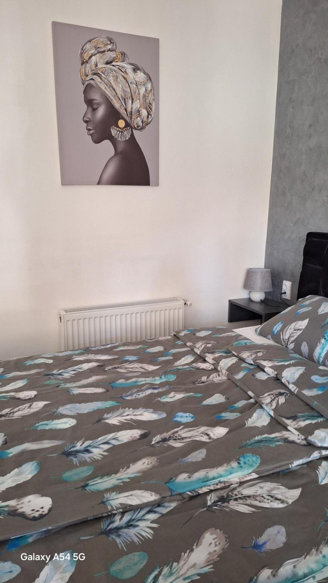 Stan Na Dan Dunja 2 Apartman Versec Kültér fotó