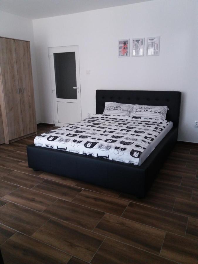 Stan Na Dan Dunja 2 Apartman Versec Kültér fotó