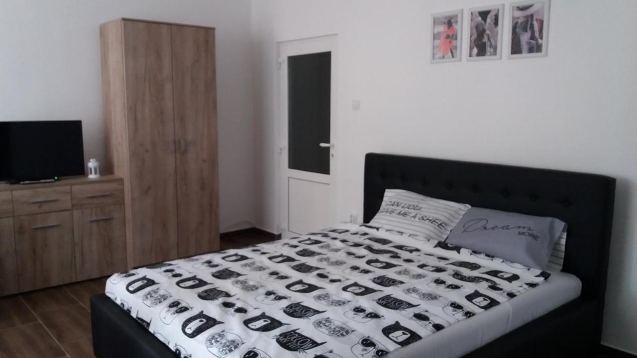 Stan Na Dan Dunja 2 Apartman Versec Kültér fotó