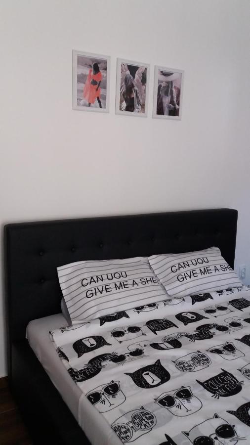 Stan Na Dan Dunja 2 Apartman Versec Kültér fotó